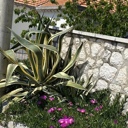 Rolex -near The Port Dubrovnik