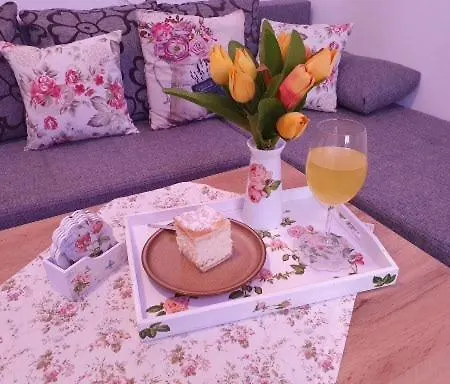 Rolex -near The Port 公寓 杜布罗夫尼克